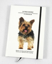 Yorkshire Terrier regalo cane