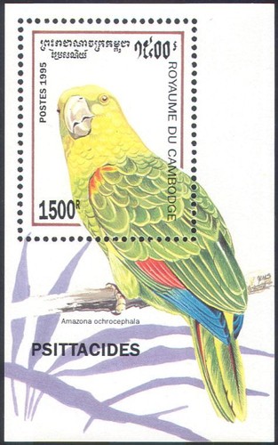 Cambogia 1995 amazzonia - 1995,