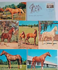 FIERA CAVALLI 1977 6 CARTOLINE AFFRANCATE E TIMBRATE PIU' ANNULLO  PRIMO GIORNO