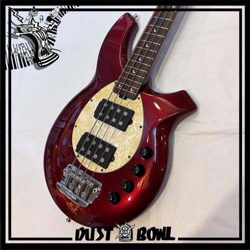 Ernie ball music - ball, man