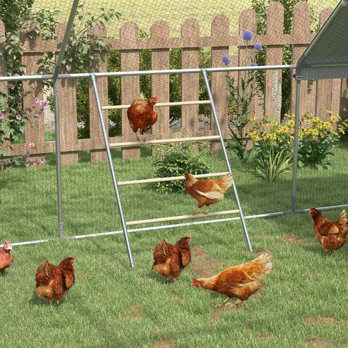 Trespolo per galline livelli - galline, 4