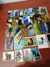 Lotto 29 album figurine