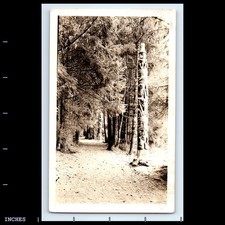 Foto d'epoca TOTEM PAESAGGIO FORESTALE