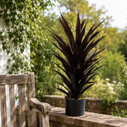 Pianta yucca rosso - pianta, scuro