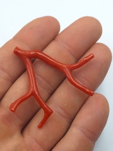 Ramo corallo rosso naturale - di,