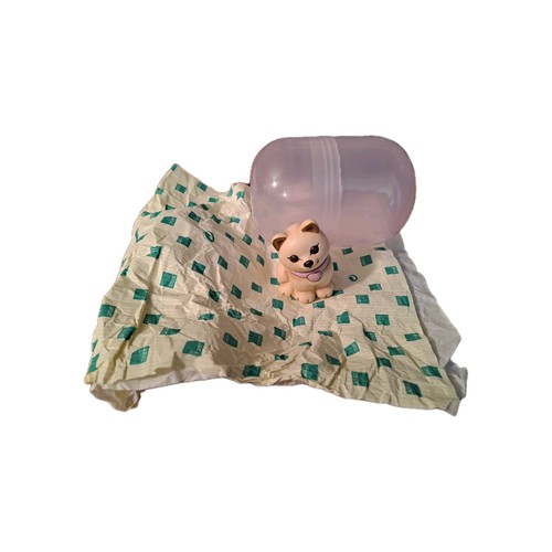 Nuovo gattino thun - gattino,