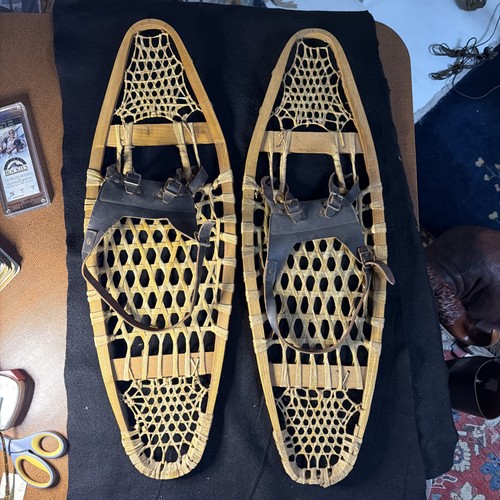 Racchette neve bear paw - bear,