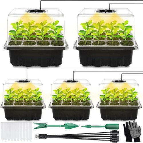 Mini serra germinazione - serra,