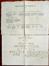 3300-FAMILY TREE OF THE