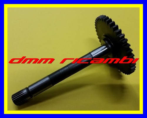 Albero trasmissione - albero, di