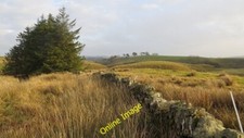 Photo 6x4 dyke - photo, trees