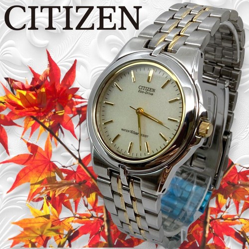 Bracciale citizen eco drive - citizen,