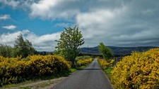 Photo 12x8 road near clynelish - photo,