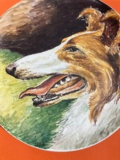 CINOFILIA-CANI-CERAMICA