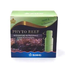 Shg phyto reef - reef, phytoplancton
