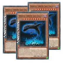 3x IMMORTALE TERRESTRE CHACU