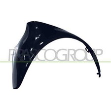 Parafango Posteriore Destro