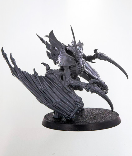 Primus tiranide alato - primus,