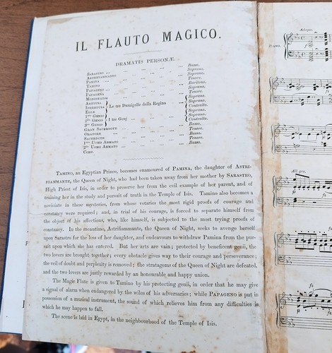 Mozart flauto magico - il,