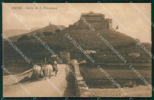 Perugia assisi carro - assisi, buoi