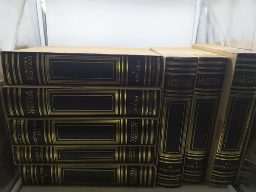 Piccola treccani dizionario - piccola,