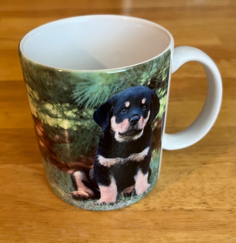 Rottweiler tazza tè - rottweiler, caffÈ