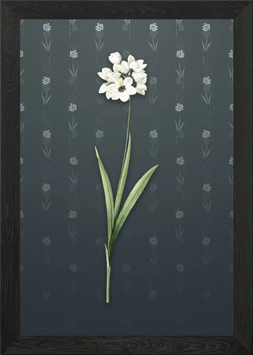 Quadro stampa tela poster - stampa,