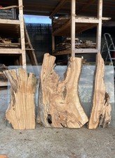 3 Tavole in legno di ulivo