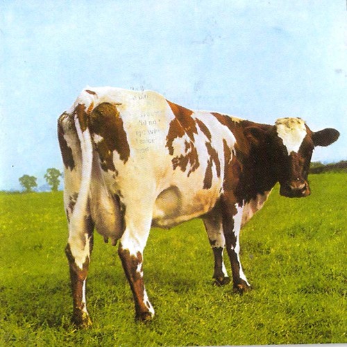 Pink floyd atom - pink, heart