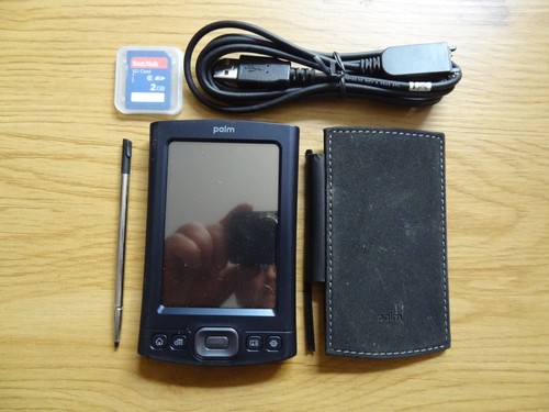 Palm tungsten palmare - palm,