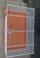 Gabbia Criceti/ Piccoli Roditori