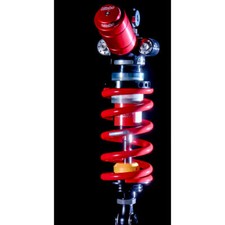 Ammortizzatore posteriore