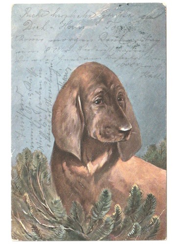 1904 antica cartolina