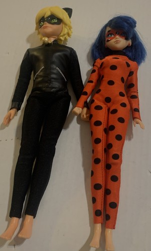 Miraculous lady bug cat noir - lady,