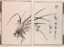 ORCHIDEA HAIKU POESIA epoca