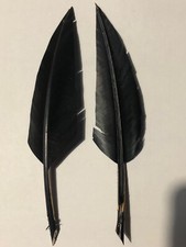 PENNA ALPINO ECONOMICA DI CORVO NERA PER ELMETTO - MIS. CIRCA 20 CM TOTALE