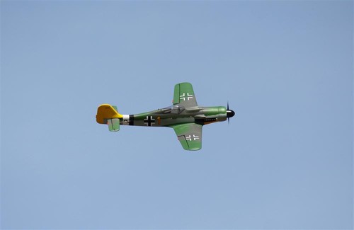 Freewing flightline focke wulf - flightline,