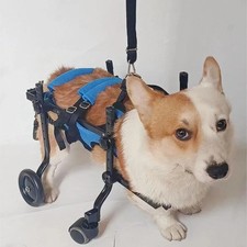 Nuova sedia a rotelle per cani 4 ruote regolabile carrello per cani sedia a rotelle leggera XS S M