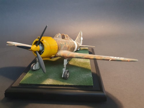 Reggiane 2000 with - 1/48, re.2000