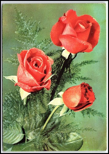 Cartolina epoca fiori - fiori, rose
