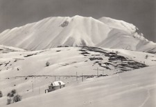 CARTOLINA *46 FORCA CANAPINE