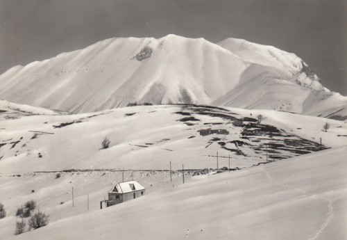 Cartolina forca canapine - cartolina, *46