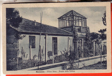 CARTOLINA MARZOCCA DI