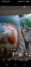 Bottarga muggine regione - bottarga,
