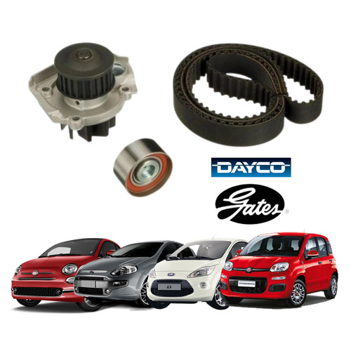 Kit cinghia distribuzione - cinghia,