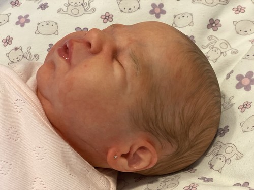 Bebé reborn coa - reborn, pelo