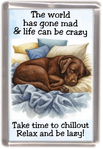 Calamita frigo per cani - , al
