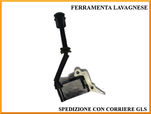Gruppo accensione elettronica
