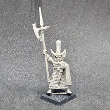 Alti Elfi Fenice Guardia