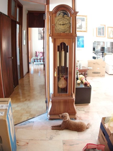 Orologio pendolo colonna - pendolo,